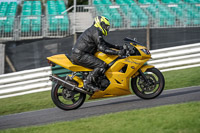Lower Group Yellow Bikes